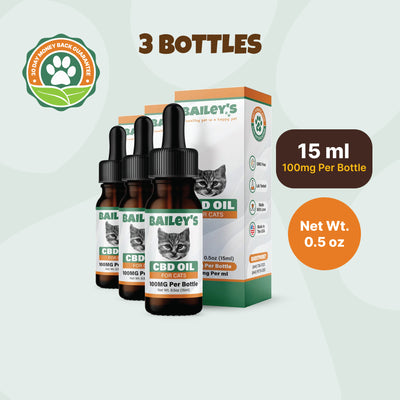CBD Oil For Cats