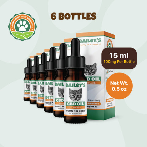CBD Oil For Cats