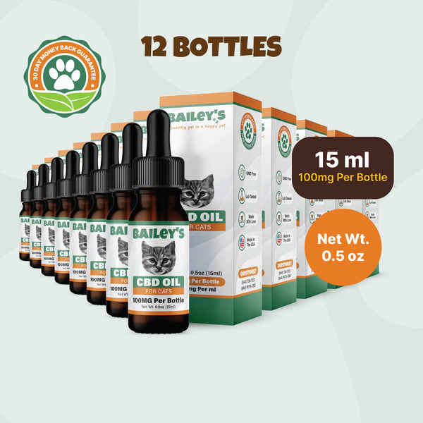 CBD Oil For Cats