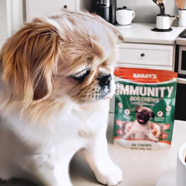Immunity Dog Chews
