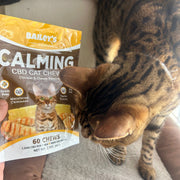 Calming CBD Cat Chews