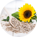 Sunflower Lecithin