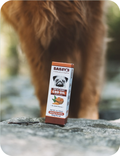 CBD Oil For Cats