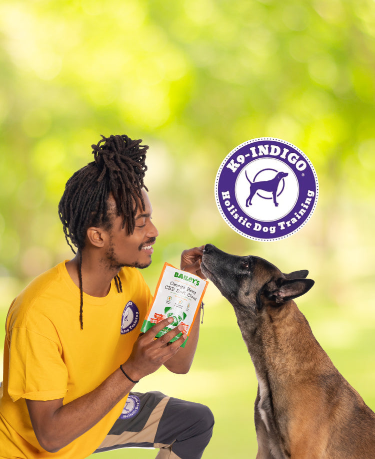 Bailey's CBD Sponsor - K9 Indigo Holistic Dog Training Services - Promotional Mobile Banner Image