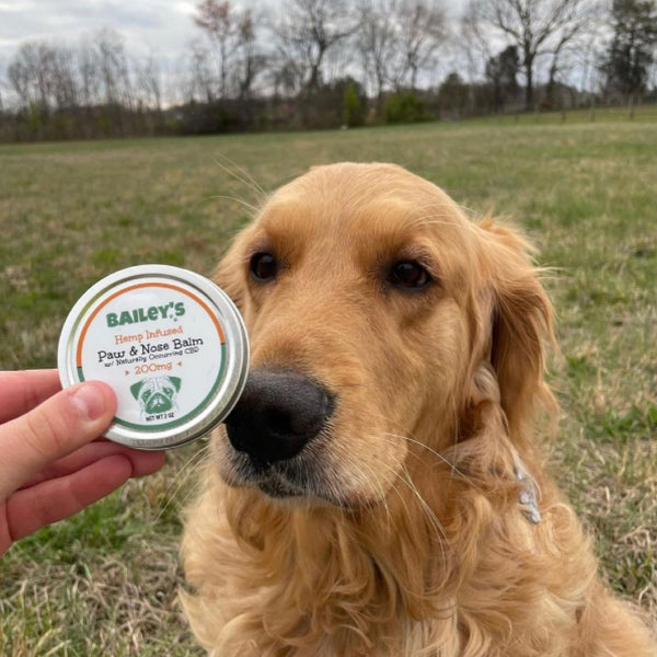 CBD Paw & Nose Balm CBD Paw & Nose Balm