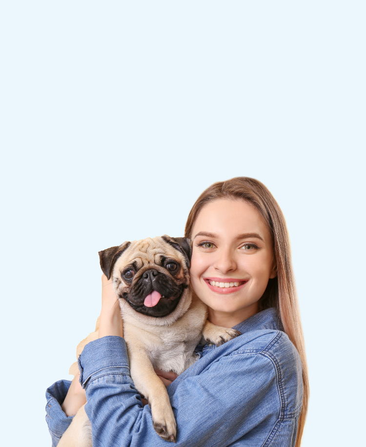 Discover Why CBD is a Healthy Choice For Your Pet - CBD For Dogs Ebook Promotion Desktop Banner