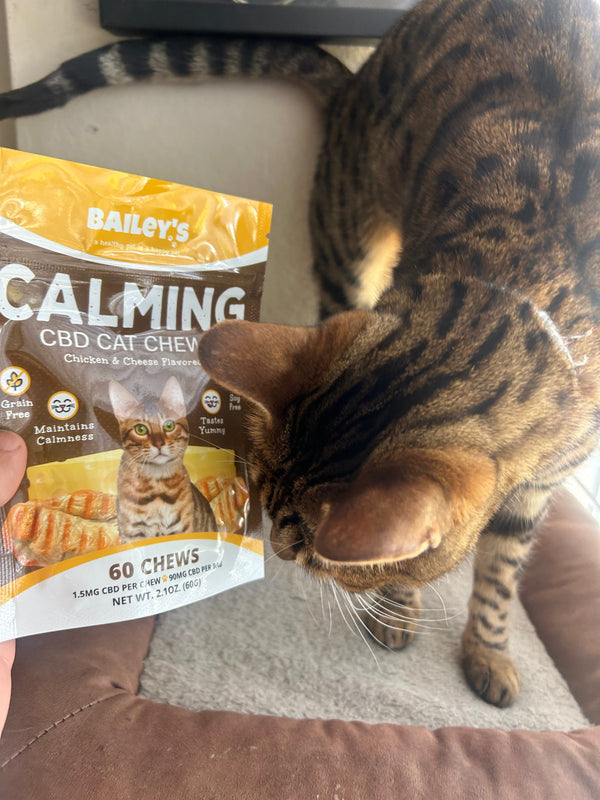 Stunning Homemade Cat Calming Chews Recipes With Cbd image