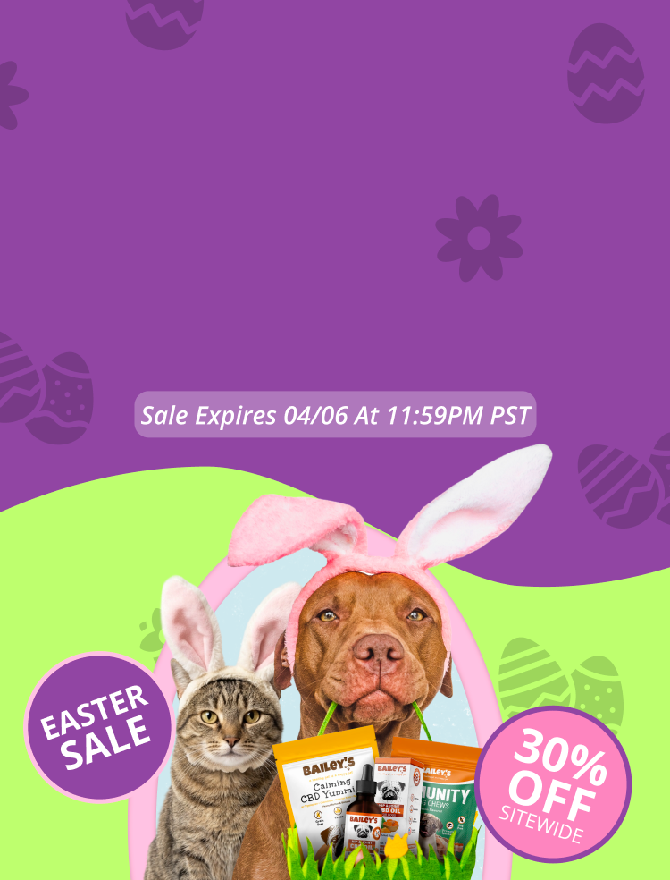 Promotional Banner Image