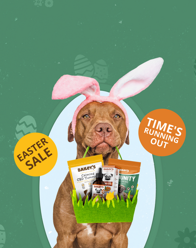 Bailey's CBD Hero Banner - View Page For Details