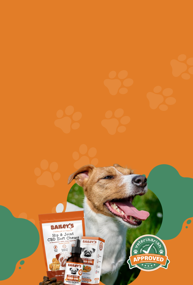 Promotional Banner Image