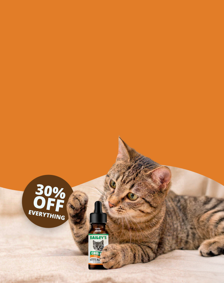 Promotional Banner Image