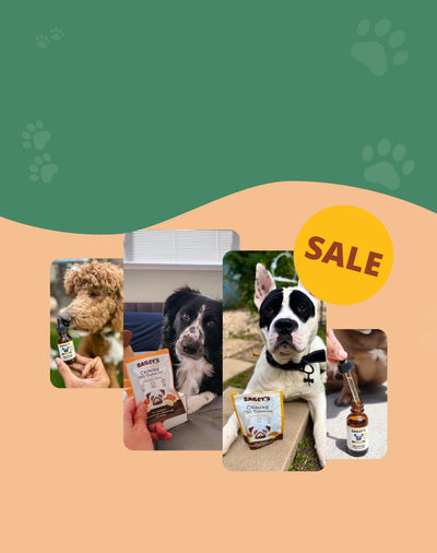 Bailey's CBD Hero Banner - View Page For Details