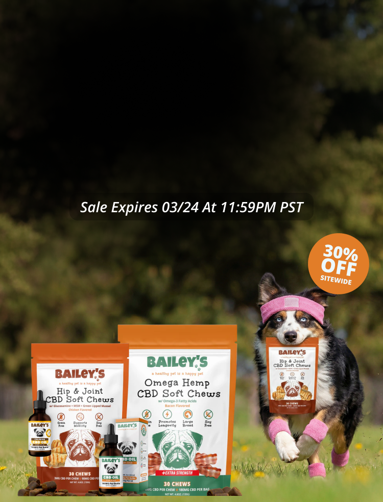 Promotional Banner Image