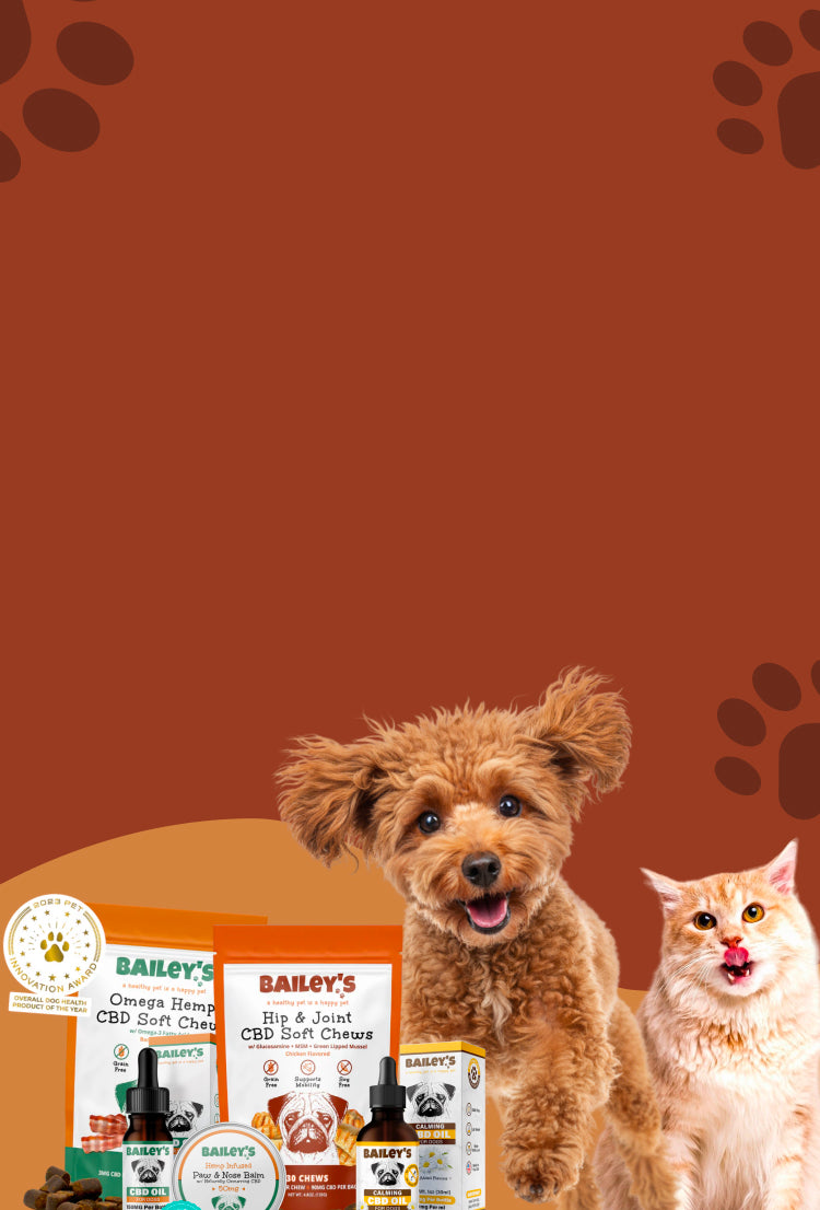 Promotional Banner Image