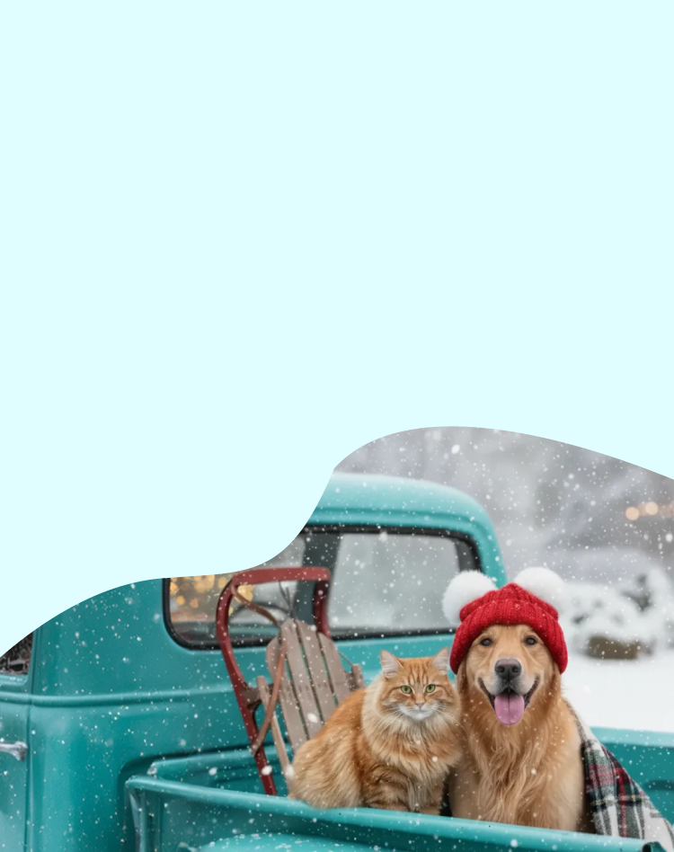 Promotional Banner Image