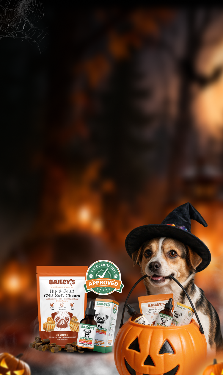Promotional Banner Image