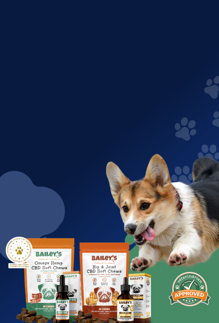 Promotional Banner Image