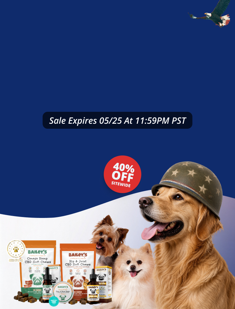 Promotional Banner Image