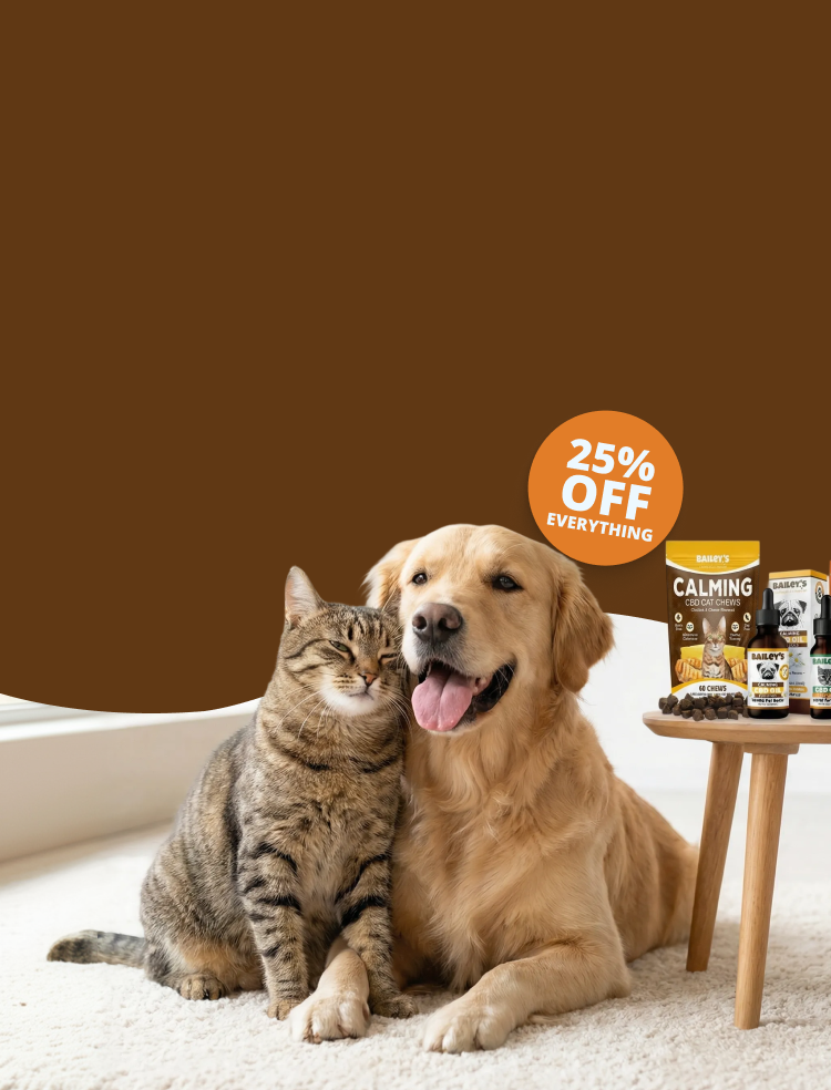 Promotional Banner Image