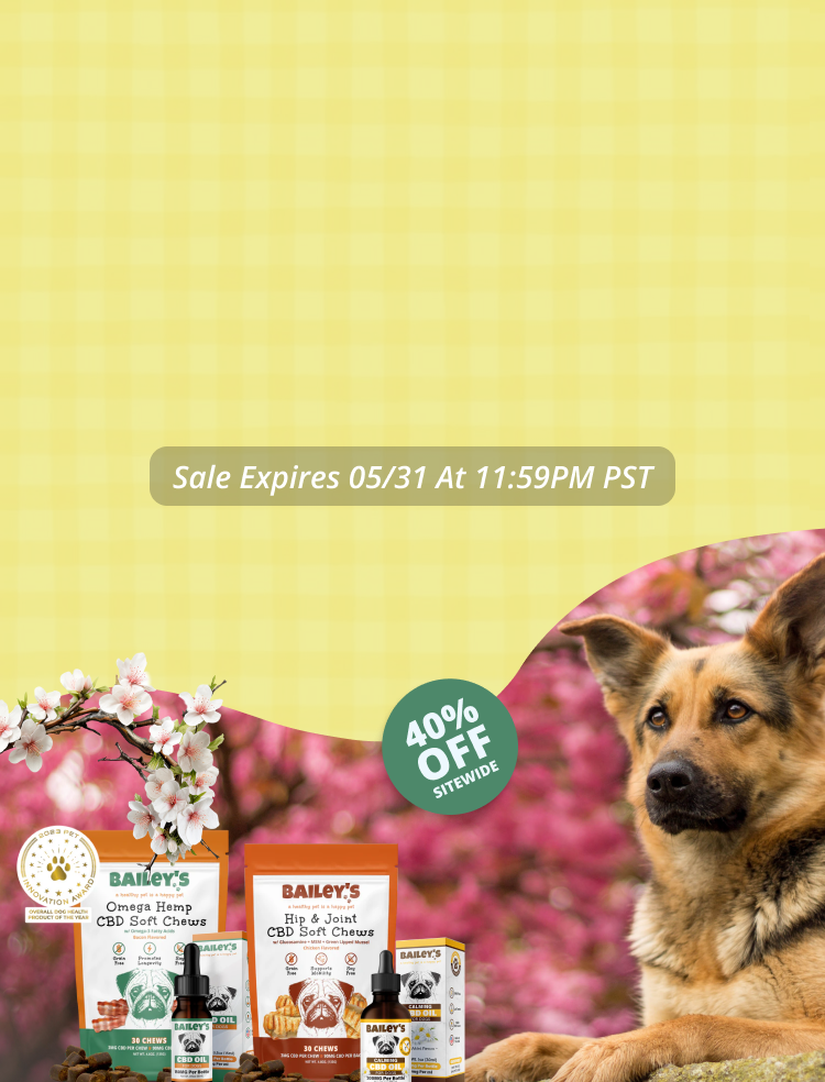 Promotional Banner Image