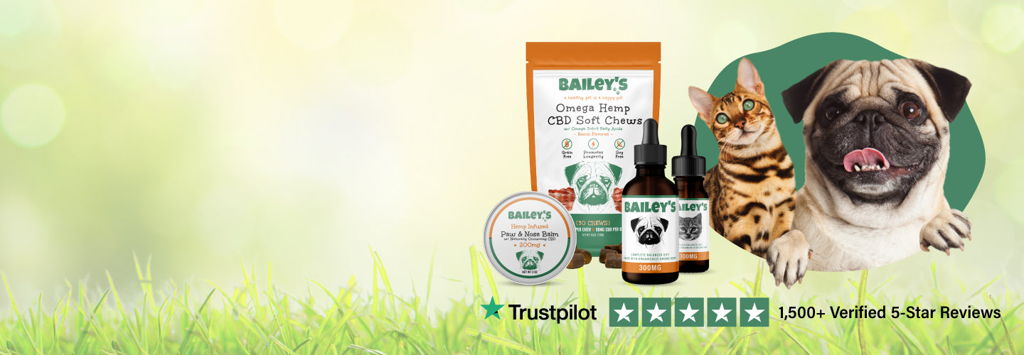 Bailey's CBD - Veterinarian Crafted CBD For Pets | Bailey's CBD