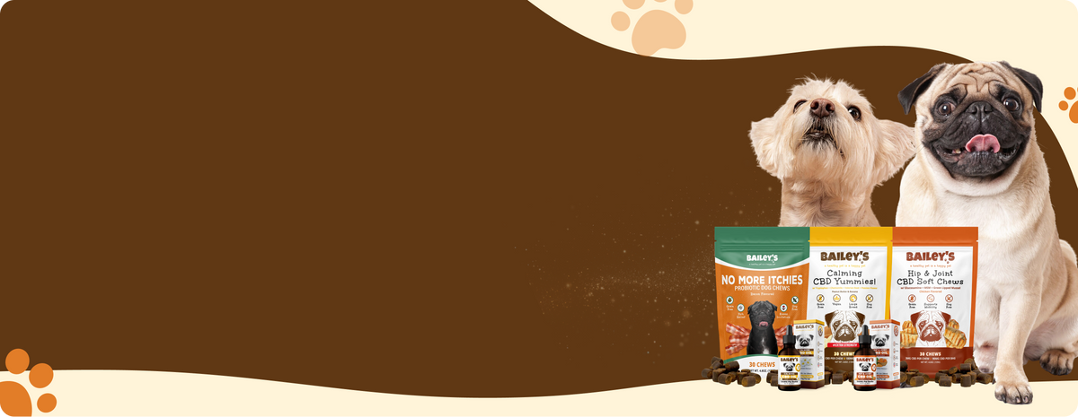 Bailey's CBD Hero Banner - View Page For Details
