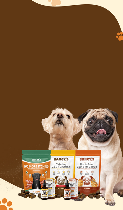 Bailey's CBD Hero Banner - View Page For Details