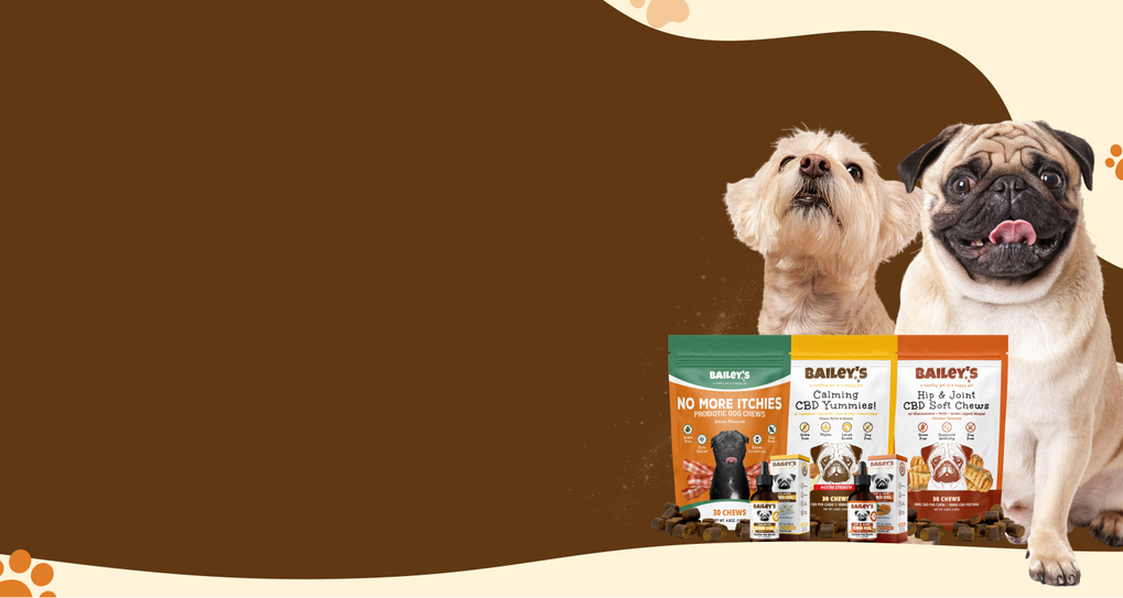 Bailey's CBD Hero Banner - View Page For Details