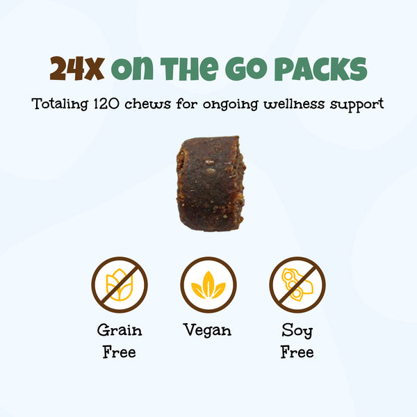 Omega Hemp CBD Soft Chews Pantry Kit