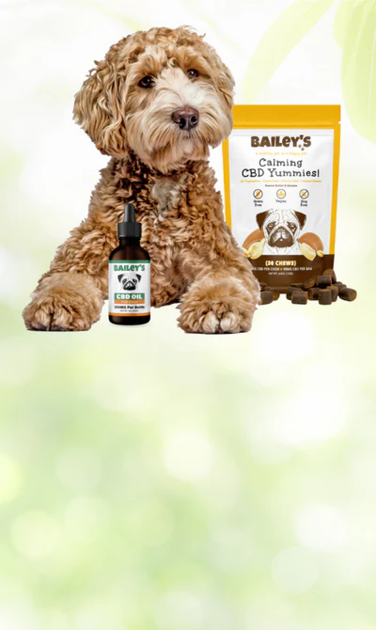 Find Your Pet’s Perfect MatchGet 25% Off Today!