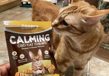 Image showcasing Bailey's Calming CBD Cat Chews - Stress Relief Cat Treats