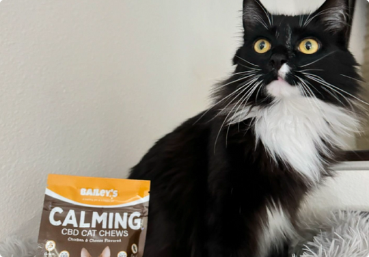View of Bailey's Calming CBD Cat Chews - Stress Relief Cat Treats