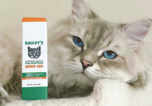 Close-up of the dropper from Bailey's CBD Oil for Cats, emphasizing its high-quality ingredients for feline wellness.