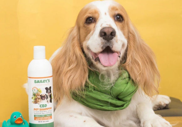 CBD Pet Shampoo