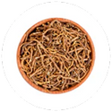 Valerian Root (Valeriana Officinalis) (25mg/chew)