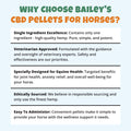 Learn Why You Should Choose Bailey's CBD Pellets For Horses Here