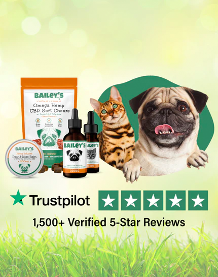 Top Rated CBD Oil Treats For Dogs Cats Bailey s CBD