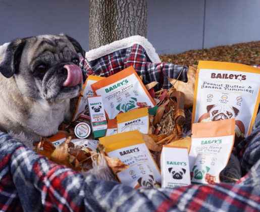 Smiling pug surrounded by Bailey's pet treats in a natural setting with dry leaves in the background.