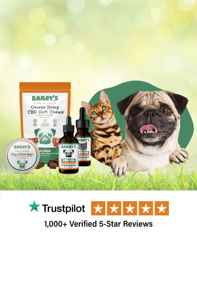 Best hemp products for dogs hotsell