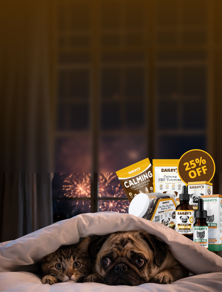 Promotional Banner Image