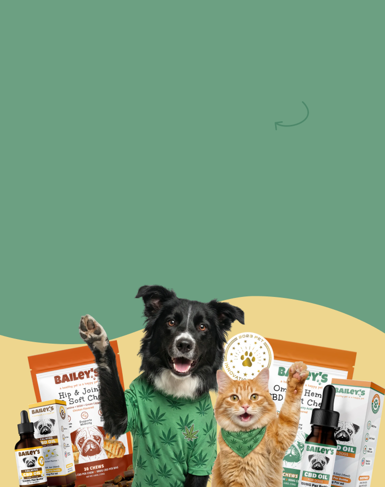 Promotional Banner Image