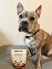 Paige S. Review of Bailey's Calming CBD Yummies Dog Treats