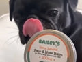 Bailey's CBD Paw and Nose Balm For Dogs Product Video Testimonial from pug dog