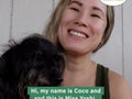 Coco The Influencer Video Testimonial of Bailey's Calming CBD Yummies Dog Treats