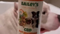 Customer submitted video of @Kilo.Cam on Instagram getting a bath with Bailey’s CBD Pet Shampoo. The video shows how easy and effective the product is in ensuring our pets are clean, hydrated, and revitalized with every bath. 