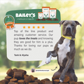 Tank the Blue Nose Pit enjoys Bailey's Omega Hemp CBD Soft Chews - Best CBD Dog Treats
