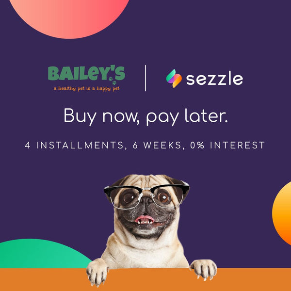 FREE 100MG CBD Oil For Cats Bottle Offer! (Just Cover S&H)