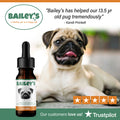Bailey's CBD Oil For Pets Membership | Get 20% OFF