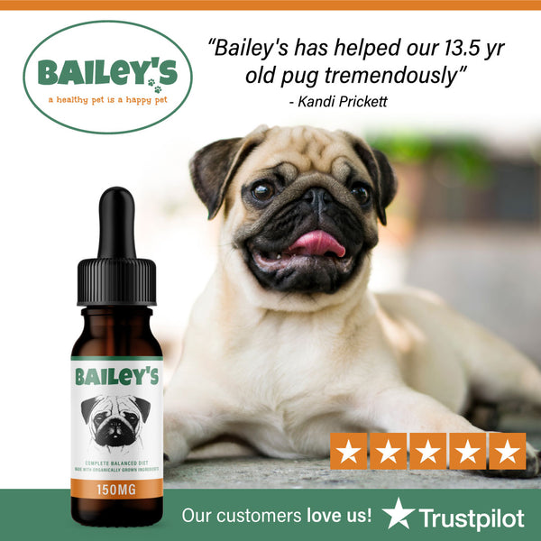 Bailey's CBD Oil For Pets Membership | Get 20% OFF