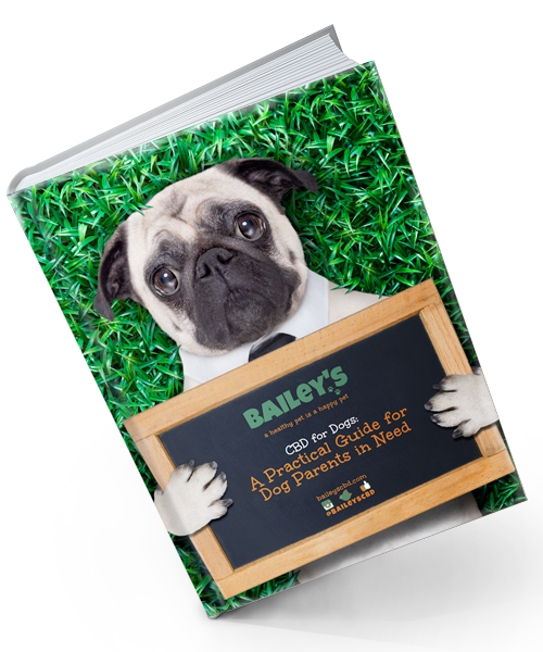 Posh Pets Magazine Free Product Checkout - Bailey's CBD